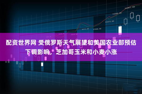 配资世界网 受俄罗斯天气展望和美国农业部预估下调影响，芝加哥玉米和小麦小涨