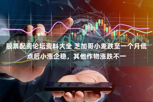 股票配资论坛资料大全 芝加哥小麦跌至一个月低点后小涨企稳，其他作物涨跌不一