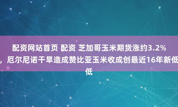 配资网站首页 配资 芝加哥玉米期货涨约3.2%，厄尔尼诺干旱造成赞比亚玉米收成创最近16年新低